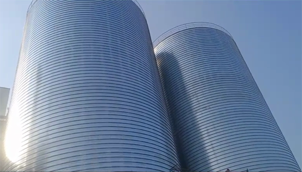 遂宁2座混凝土高架卷板仓